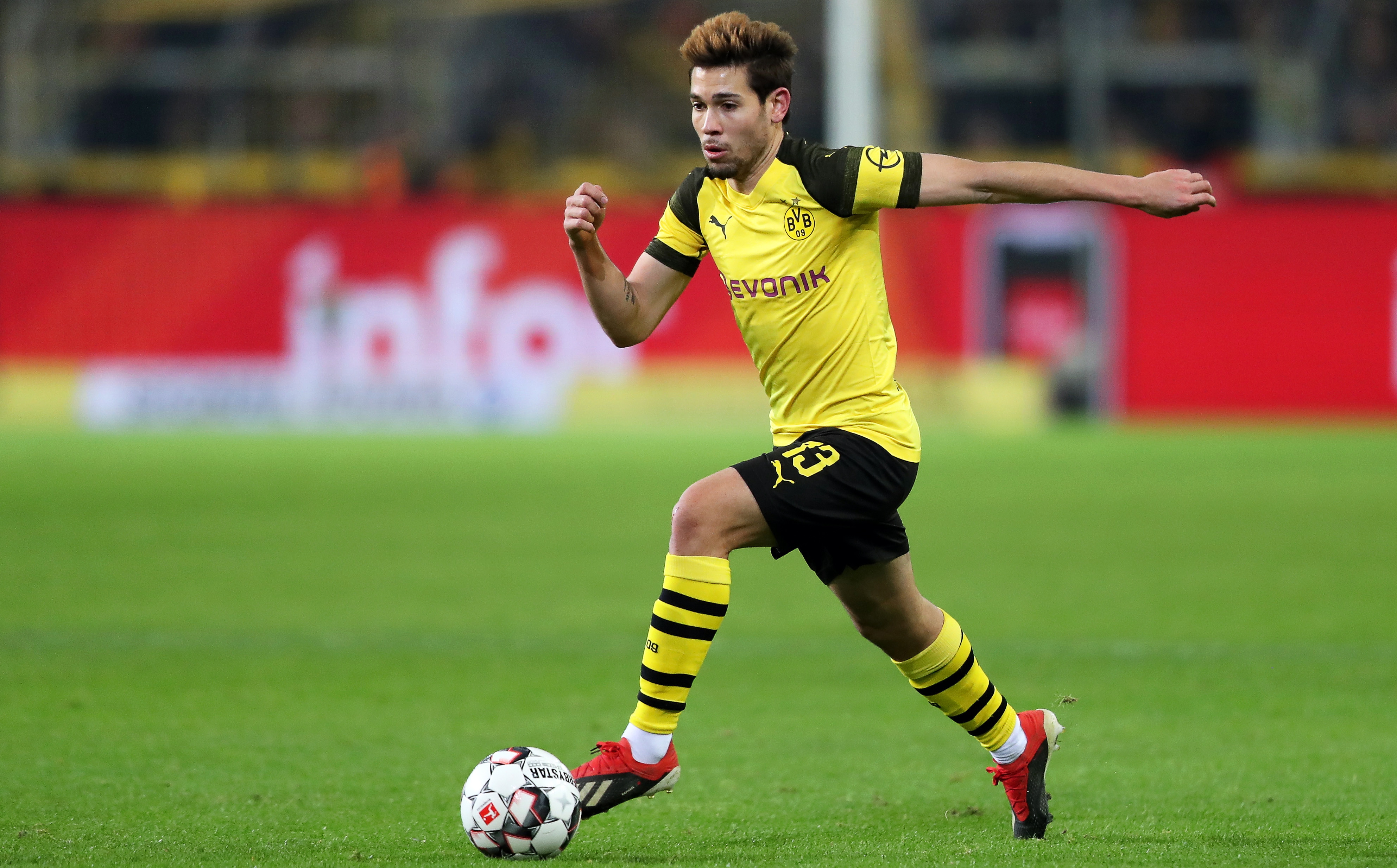 猛龙管理层 猛龙管理层