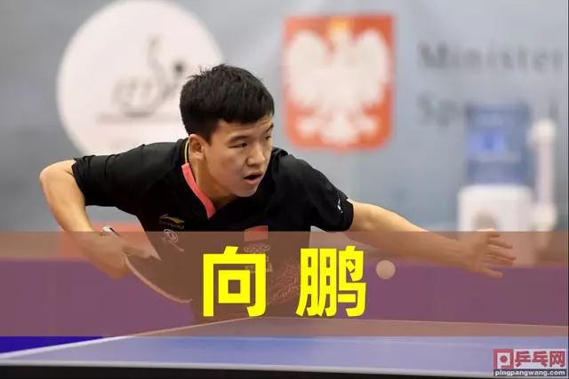 星对主教练 星对主教练