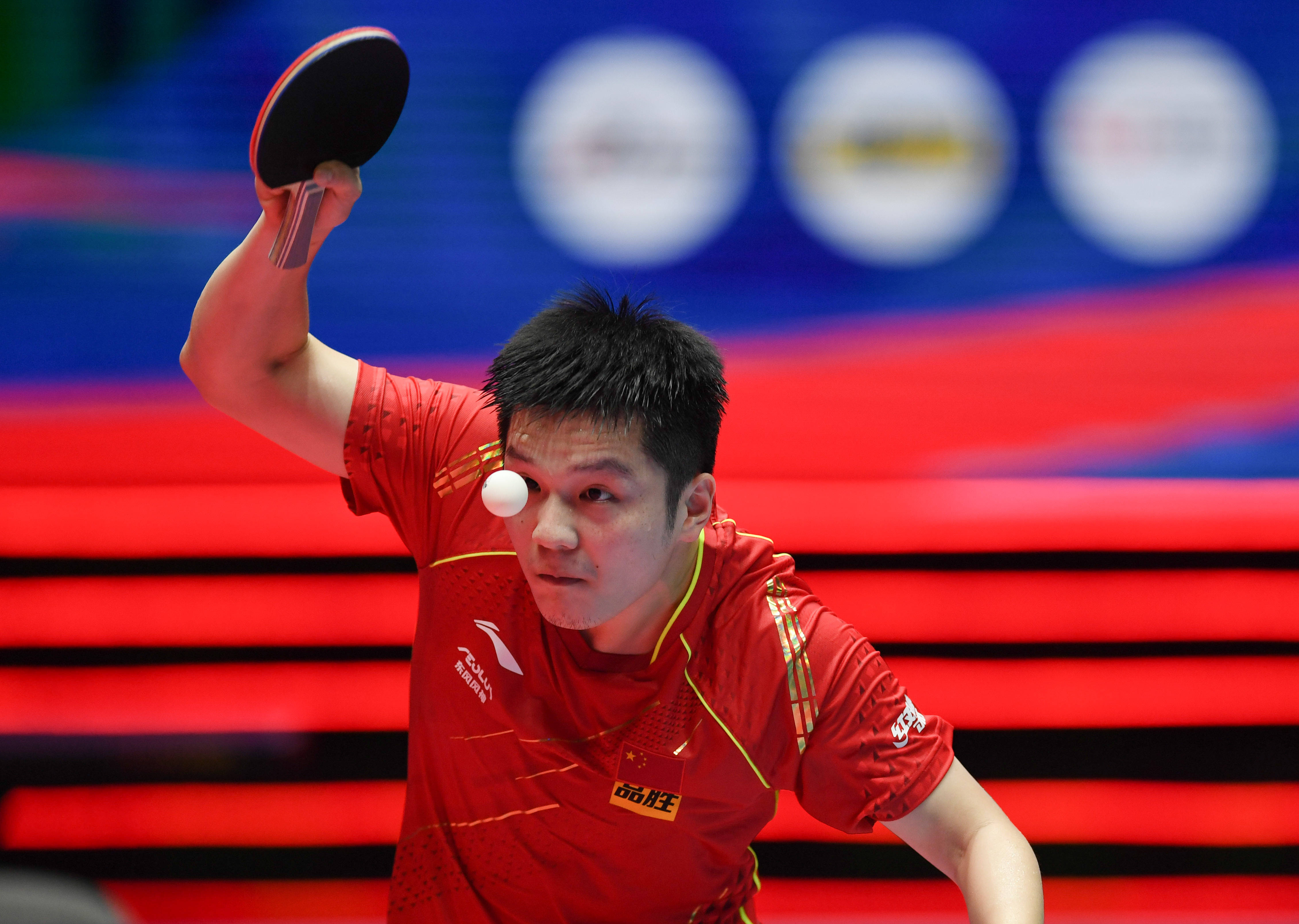 每年一度的 每年一度的